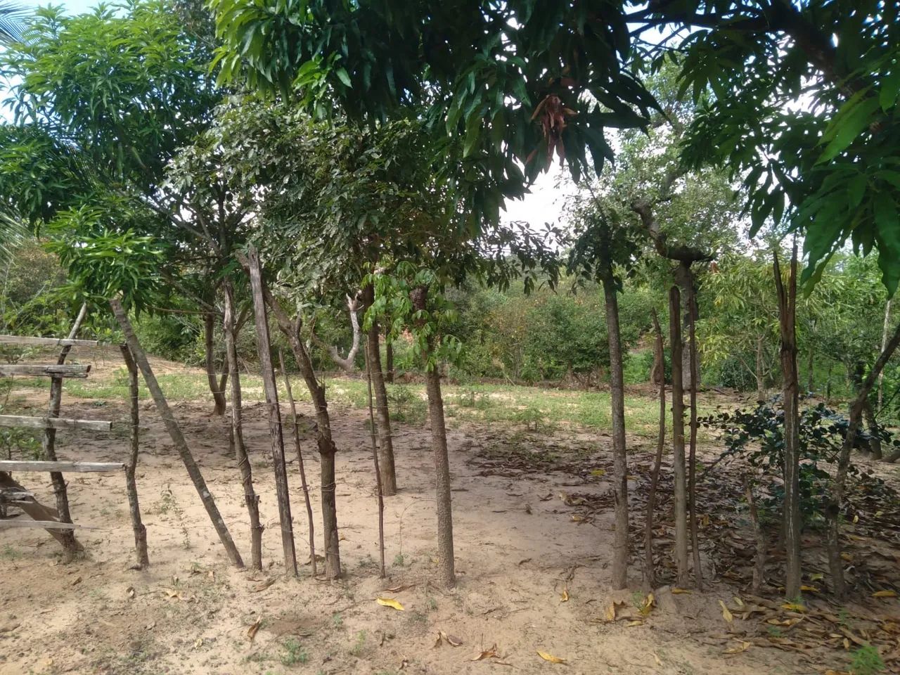 Casa de sítio - Foto 2