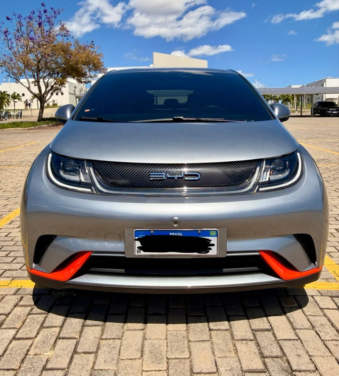BYD Dolphin EV (Elétrico) 2024