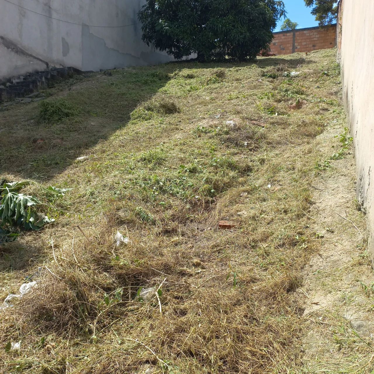Vendo esse lote - Foto 5