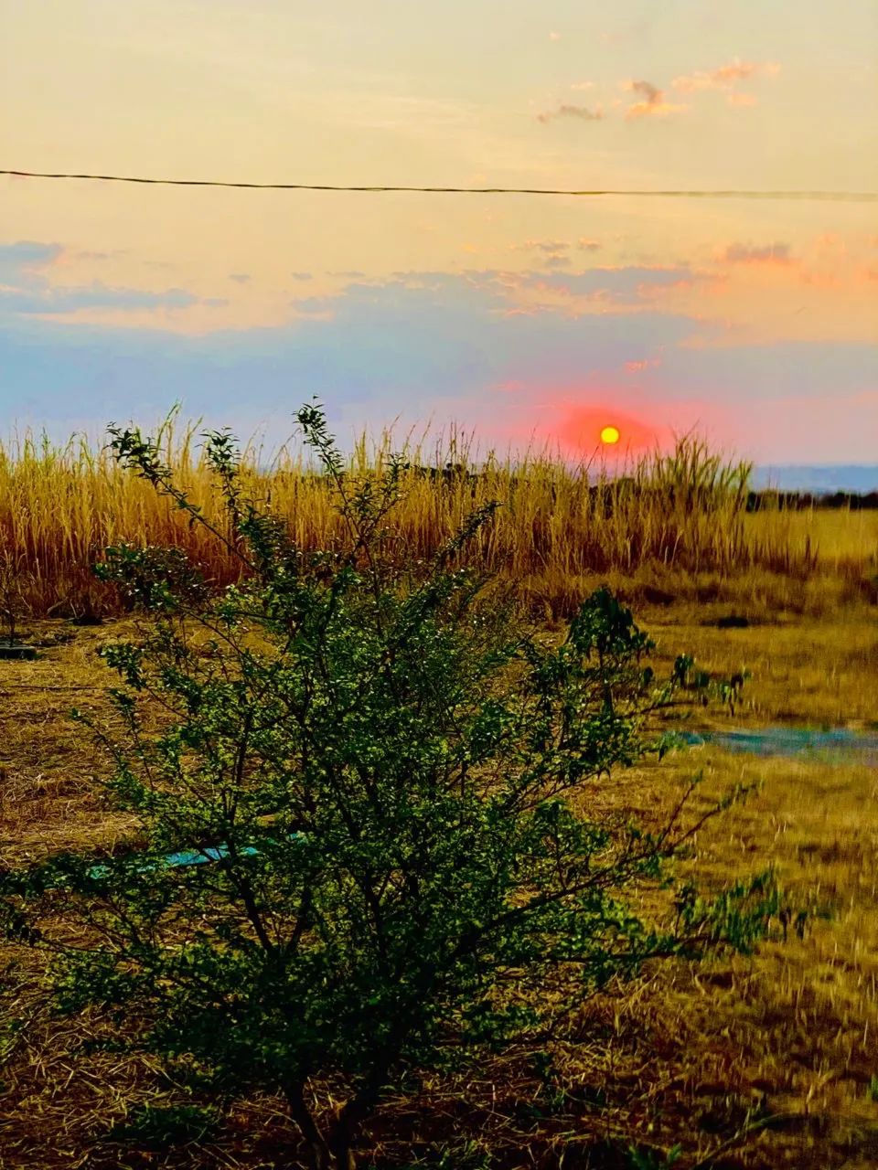 Foto - Brasília - Paranoá