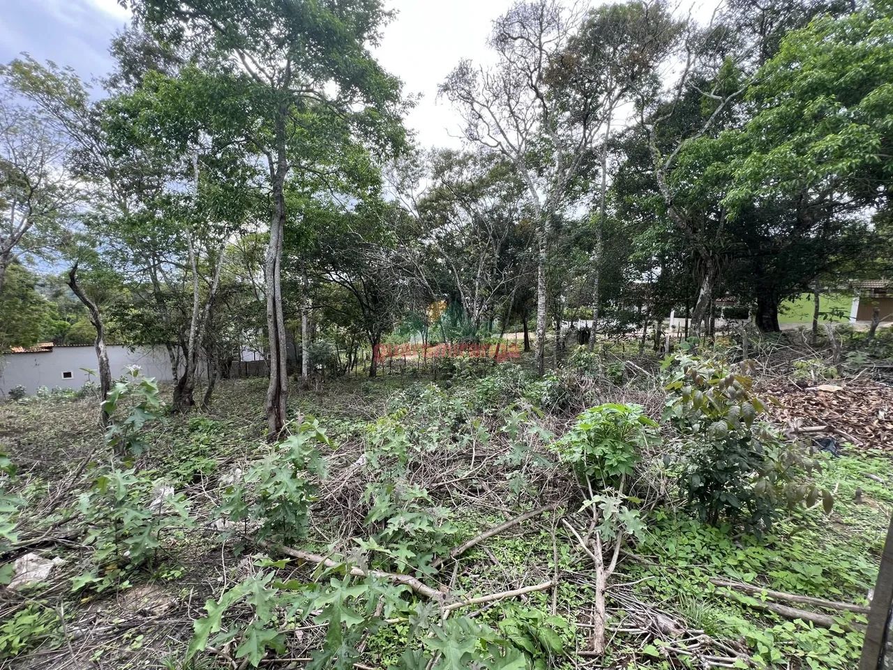 TERRENO PLANO COM POÇO PROFUNDO - Foto 4