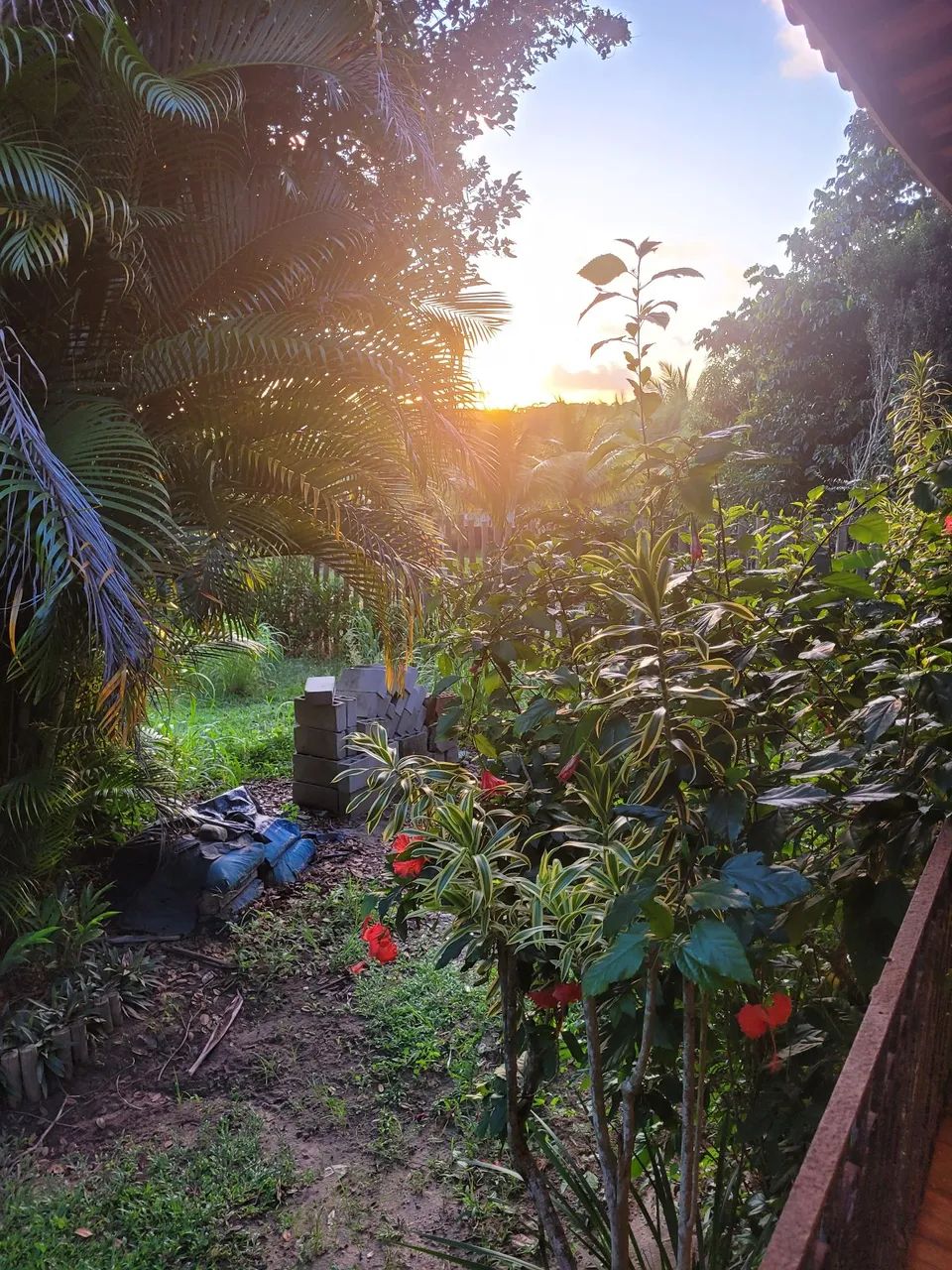 Foto - Salvador - Costa Azul