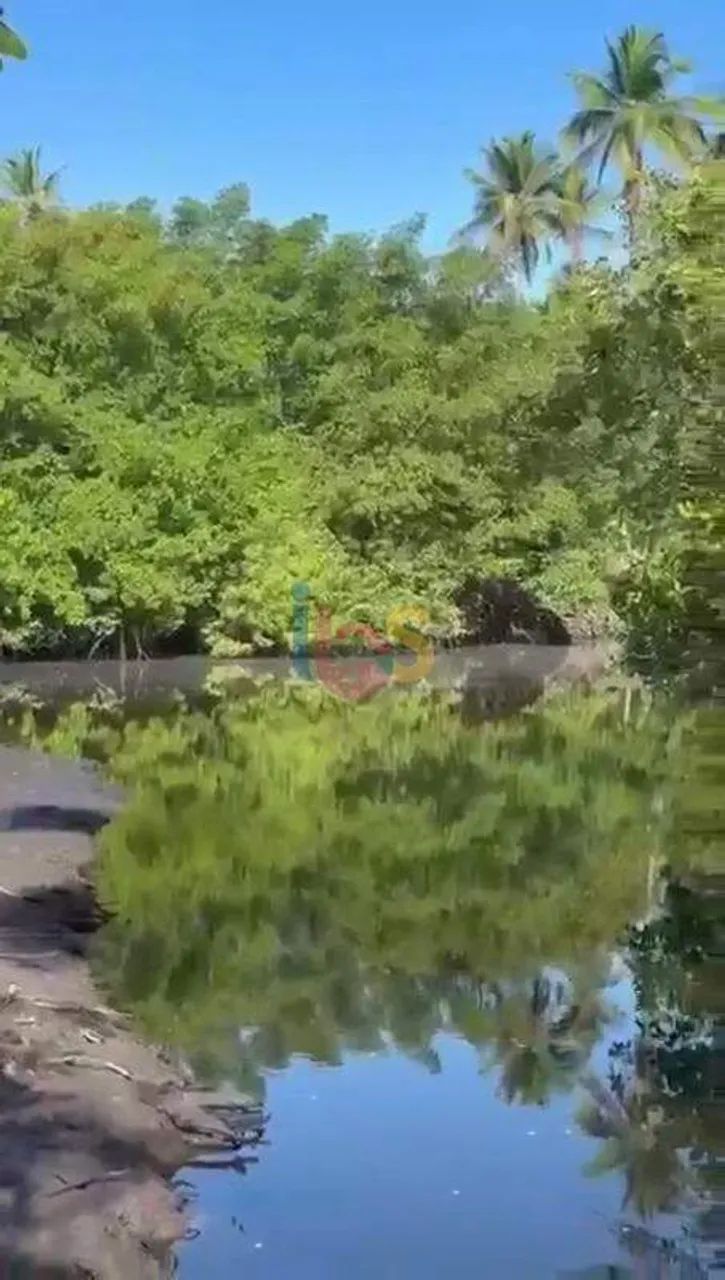 Vendo Àrea com 56 hectares em Comandatuba - Foto 2