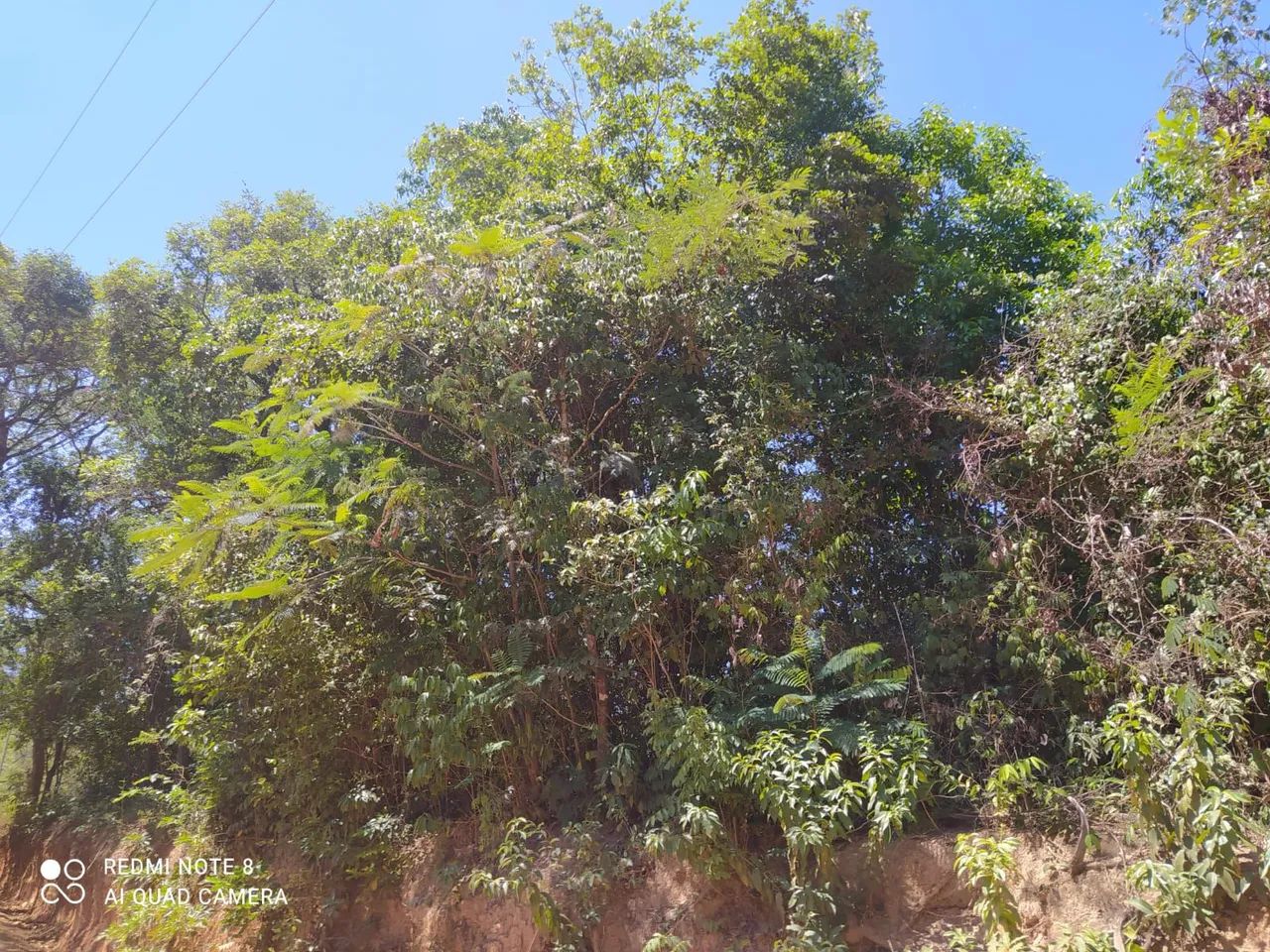 Foto - Jaboticatubas - 