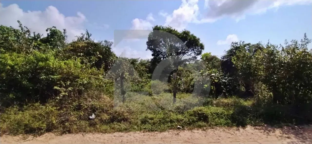 Terreno no Mosqueiro com 384m² e Escritura Próximo ao Clube Society - Foto 2