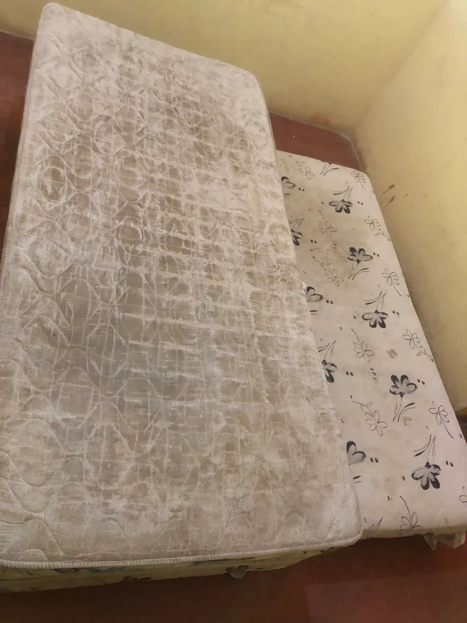 Cama 