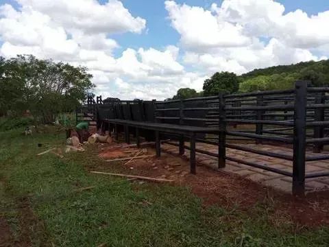 Fazenda de 42ha. em Bandeirantes - Foto 3