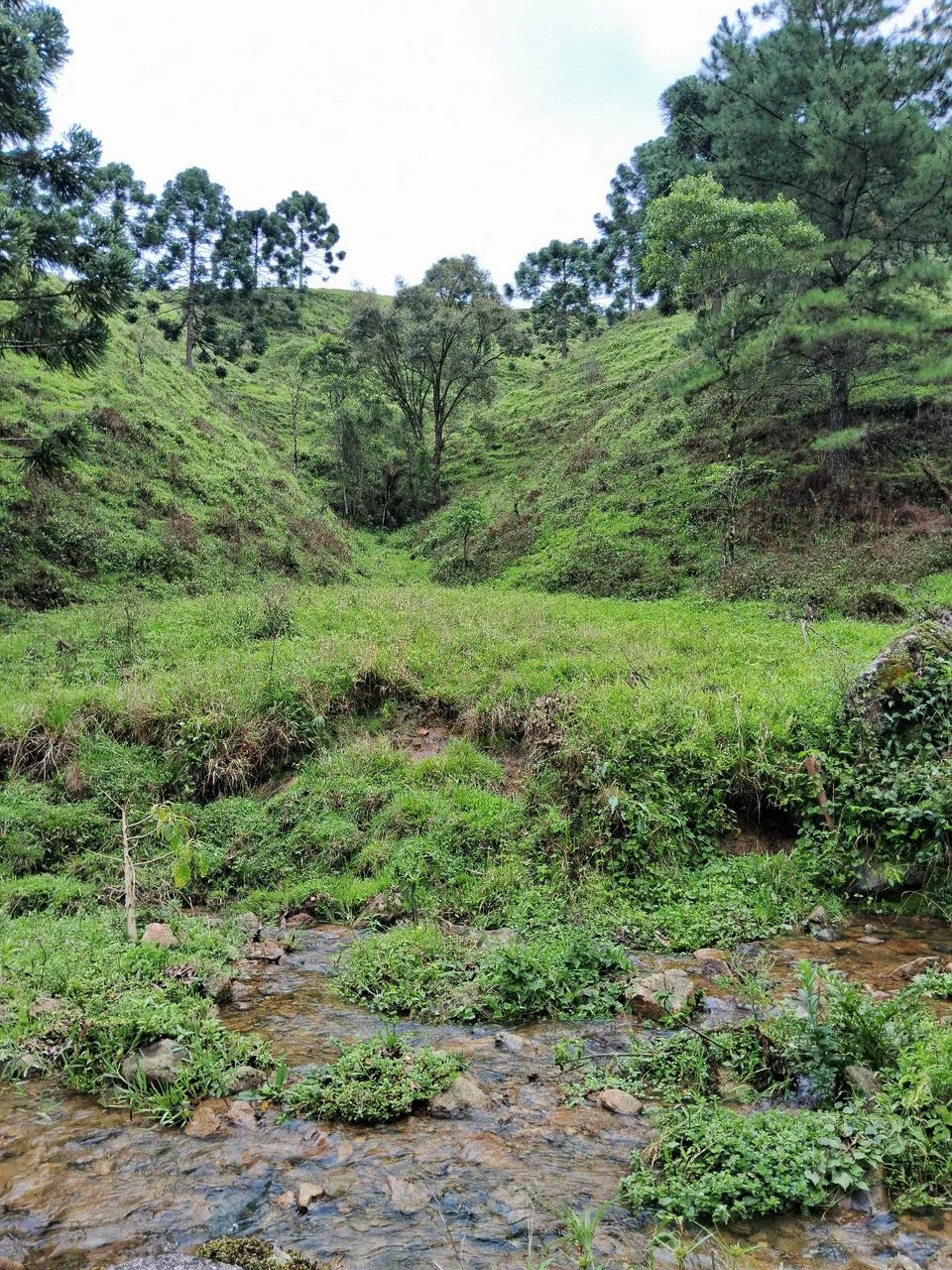Terreno 3 hectares com riacho em Anitápolis-SC  - Foto 2