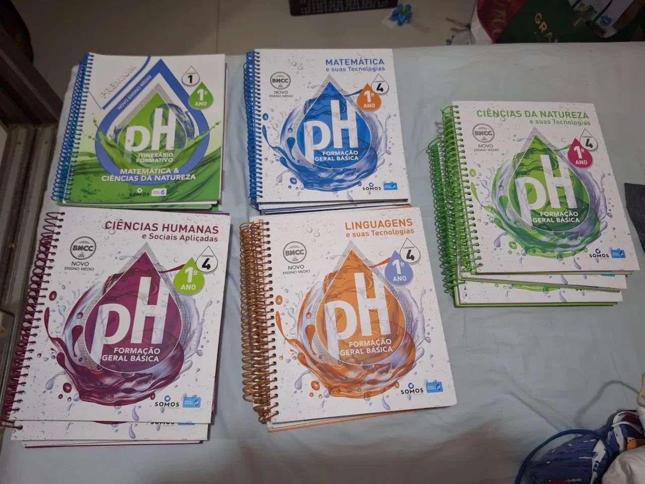 MÓDULOS 1 ANO PH 2025