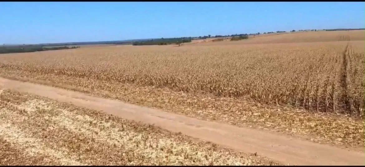Arrendamento Plantando a 20 anos, Guarai - Tocantins - Foto 2