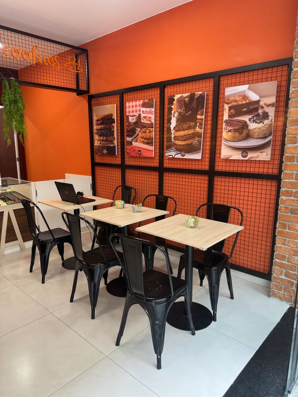 Foto - Nova Friburgo - Braunes