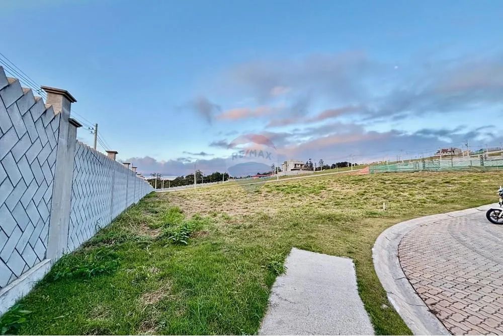 Terreno dos Seus Sonhos em Vila Oliveira! - Foto 4