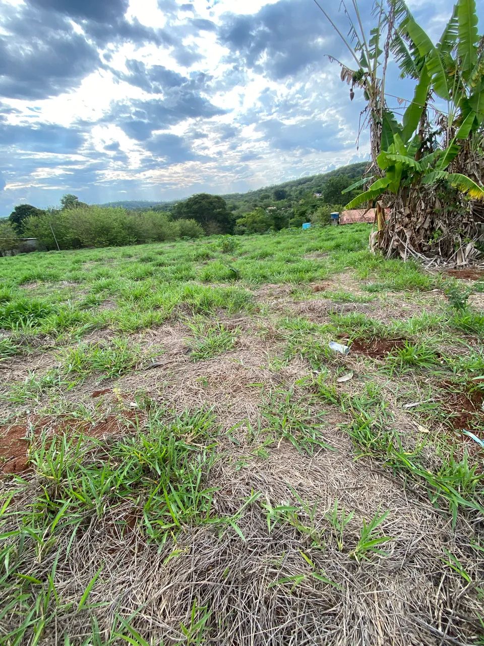 Terreno de 1000m2 - Foto 5
