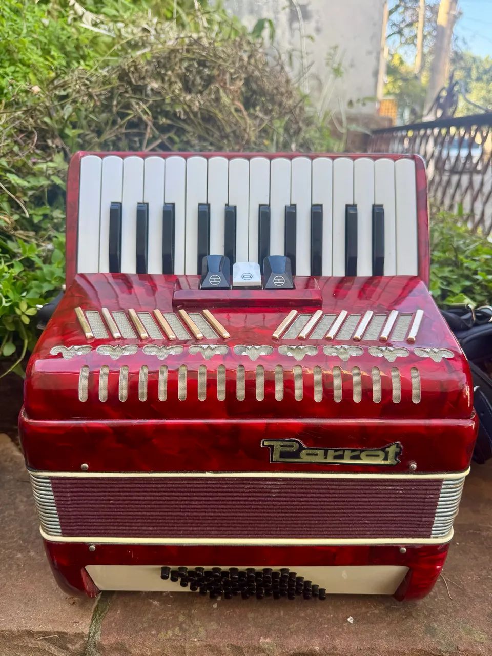 Acordeon Parrot 48 baixos  - Foto 2