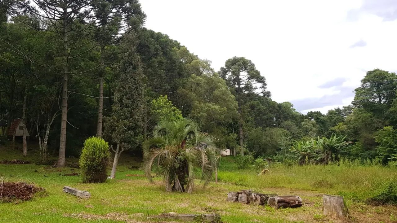 Terreno em Piraquara - PR - Foto 4