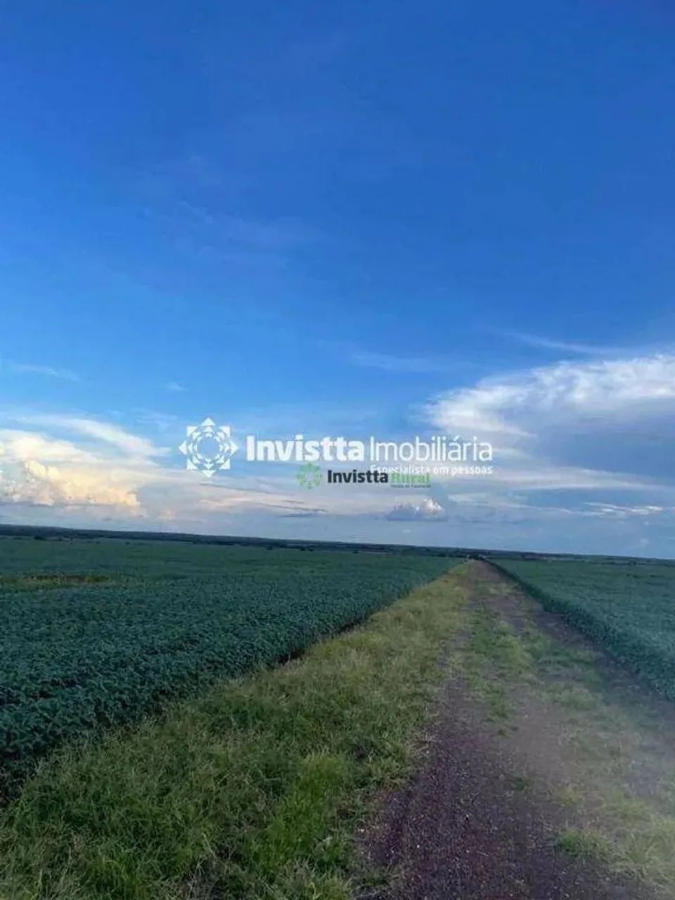 Fazenda de 940 alqueires com lavoura de soja e infraestrutura completa - Foto 3