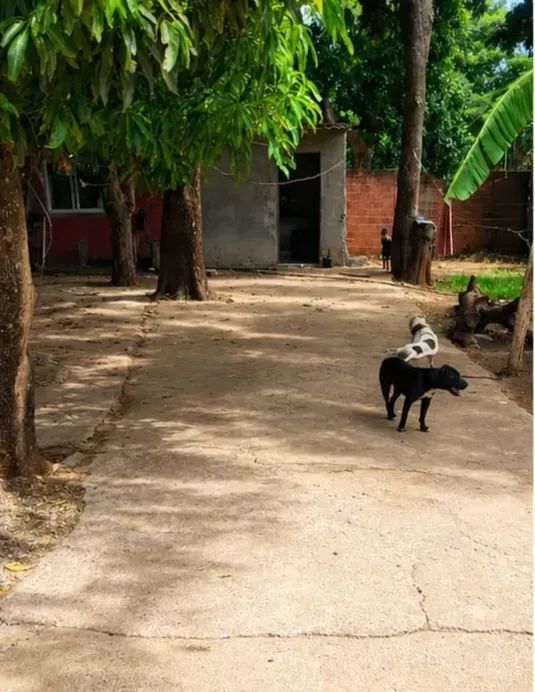 Realize o sonho da casa própria! - Foto 3
