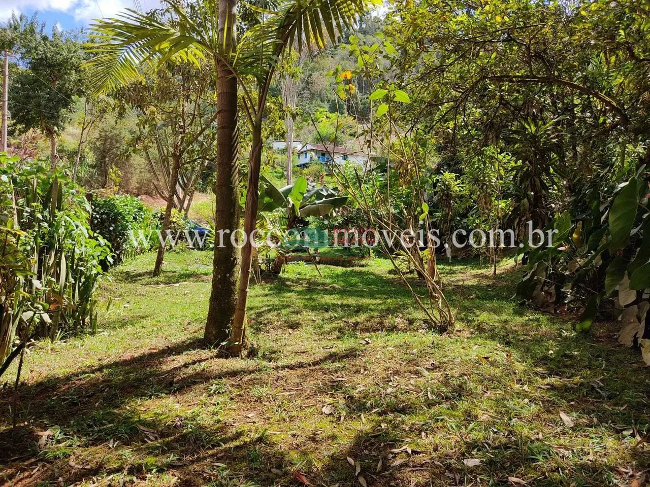 SITIO A VENDA EM DOMINGOS MARTINS ES - Foto 2