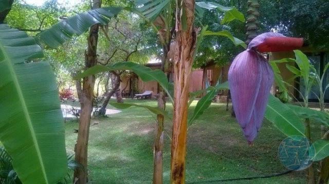 Hotel à venda em Pium, Nisia floresta cod:10690 - Foto 17
