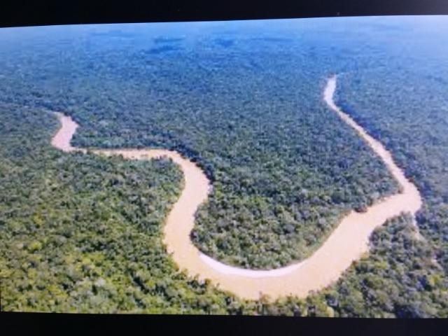 Área de 122.000 hectares na amazônia