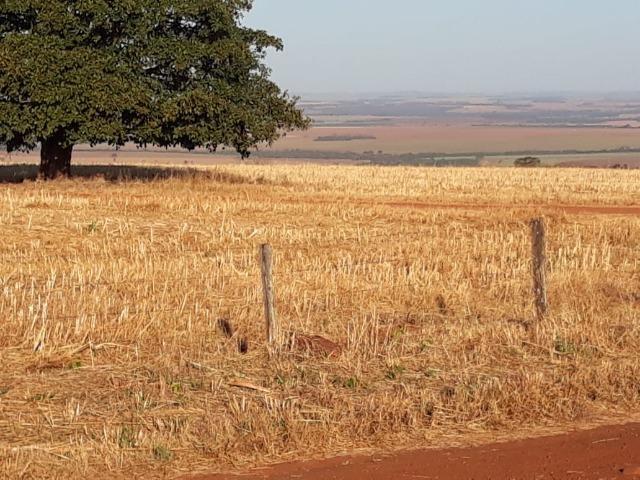 Fazenda de 28 alqueires ( 135 hectares ) Paraúna-GO ( soja ) - Foto 3