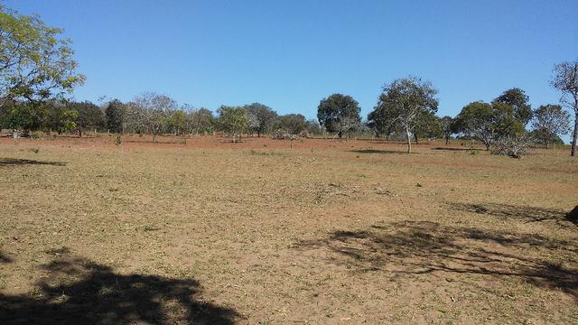 Chácara 14 km de Campo Grande - 9,8 hectares - Foto 10