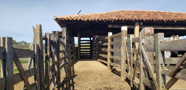 Fazenda a venda no extremo sul da bahia 170 ha - Foto 18