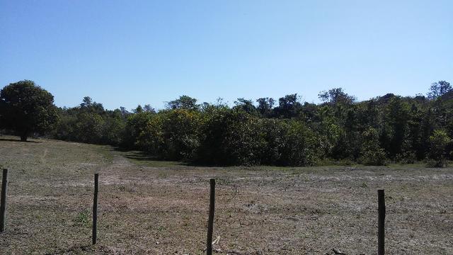 Chácara 14 km de Campo Grande - 9,8 hectares - Foto 12