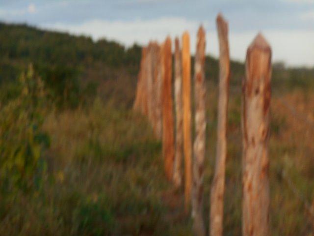 Fazenda 172 tarefas de terra com sede para criaçao de gado e cavalo e plantaçao - Foto 11