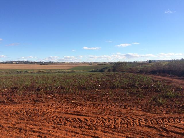 Rodovia Castelo Branco, Fazenda 243 Alqueires - Foto 5