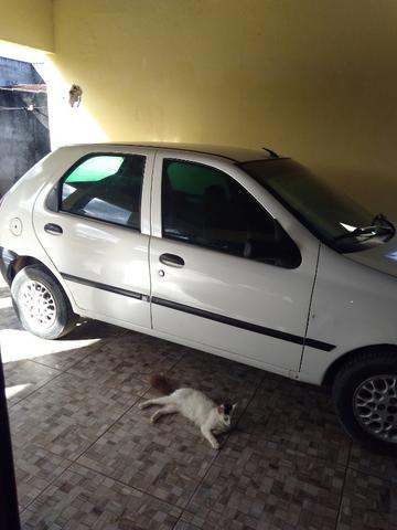 Palio 97