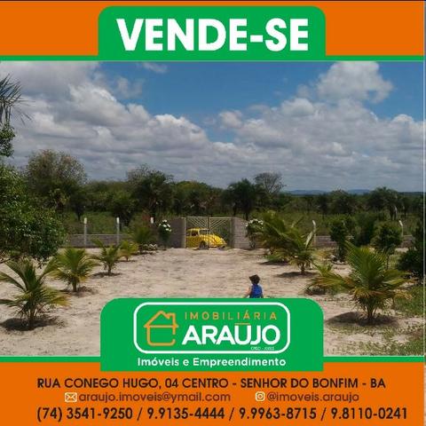 Vende-se uma chácara - Foto 6