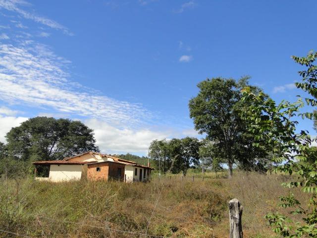 Fazenda 157 hectares na beira do rio Parauna - Foto 6