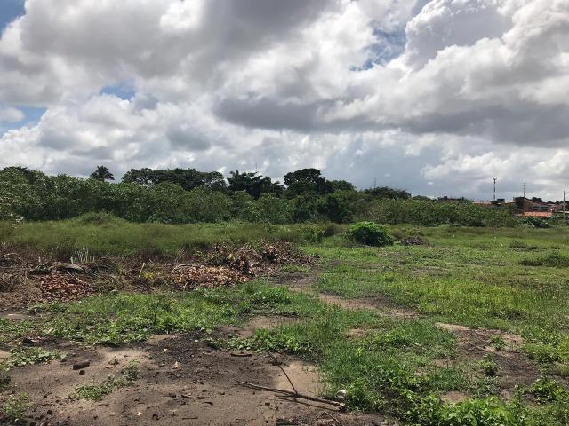 Vendo área na Estrada de Ribamar(6 Hectares)