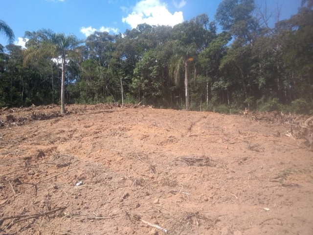 Valor de lançamento- Terreno em Pinhalzinho - Foto 3