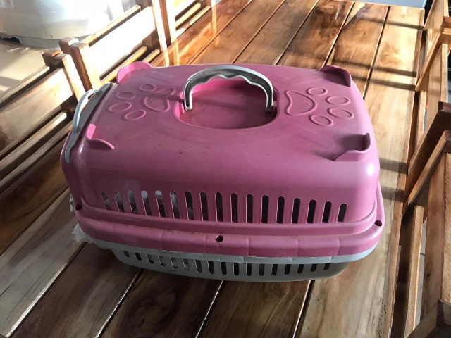 Caixa para transporte animais
