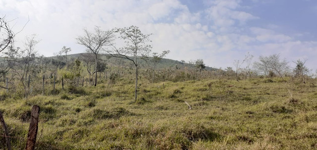 L238- Terreno bom e barato só aqui !!!! - Foto 4