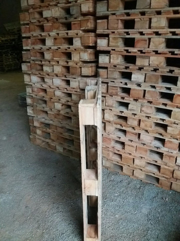 Palets de eucalipto novo 100x120