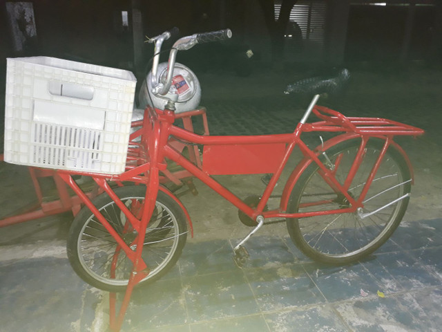 Bicicleta Cargueira