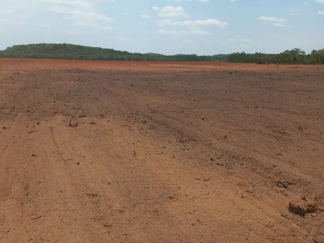 Fazenda 11 mil  Hectares  município de Pedro Afonso  - Foto 3