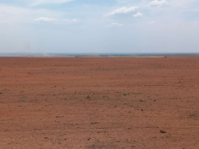 Fazenda 11 mil  Hectares  município de Pedro Afonso 