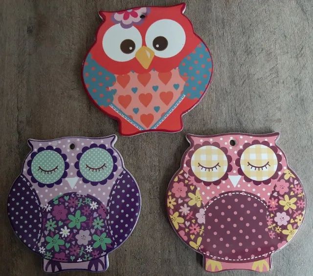 Conjunto decorativo corujas - Foto 3