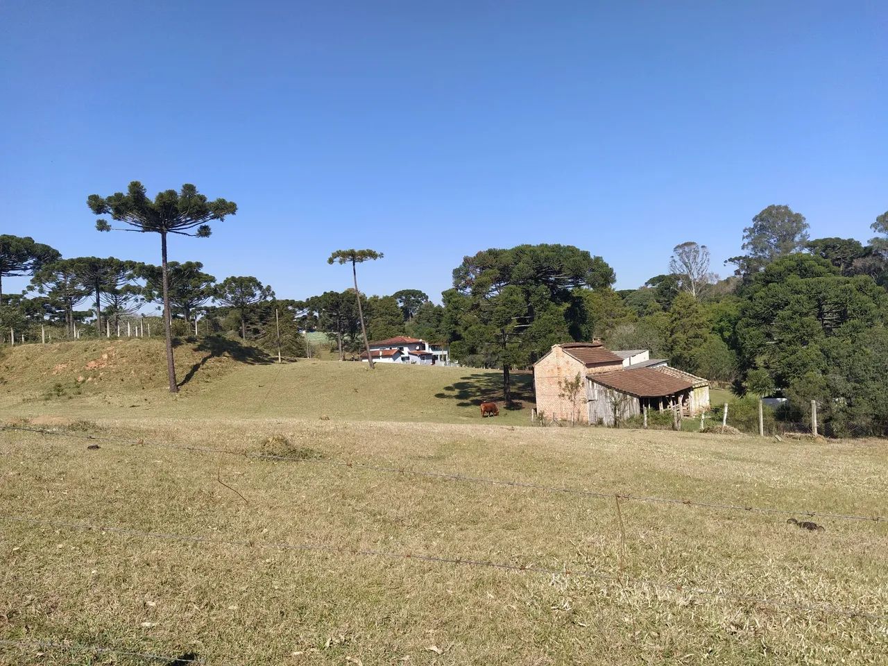 Paraíso do sul  - Foto 7