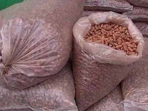 Amendoim cru com casca saco com 10 kg - Foto 5