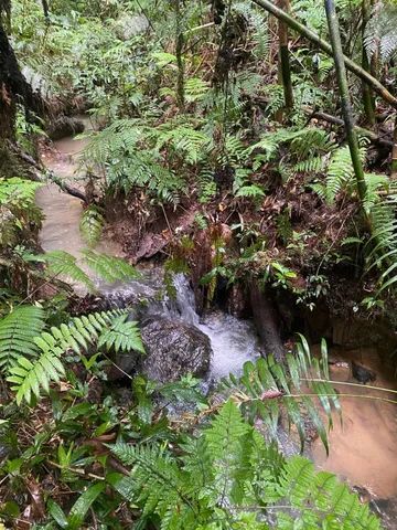 foto - São José dos Pinhais - Colônia Murici