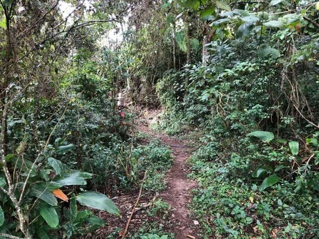 Vendo Sítio 3 Alqueires em Trajano de Moraes, RJ - Foto 5