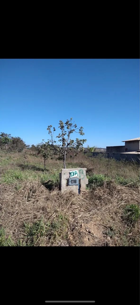 Lote 500 metros quadrados.
