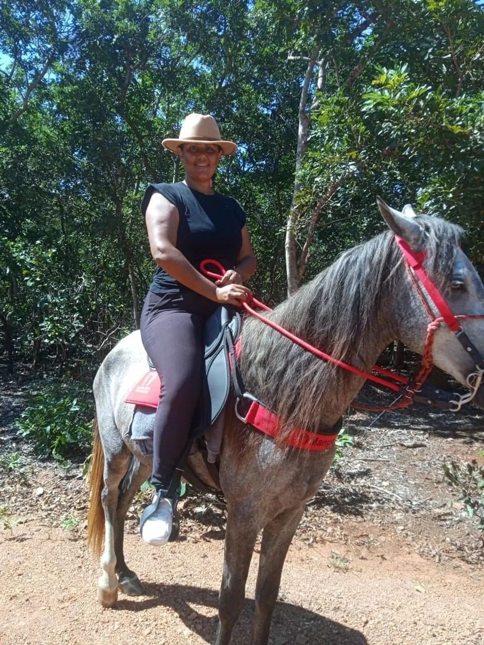 Vendo Cavalo  - Foto 2