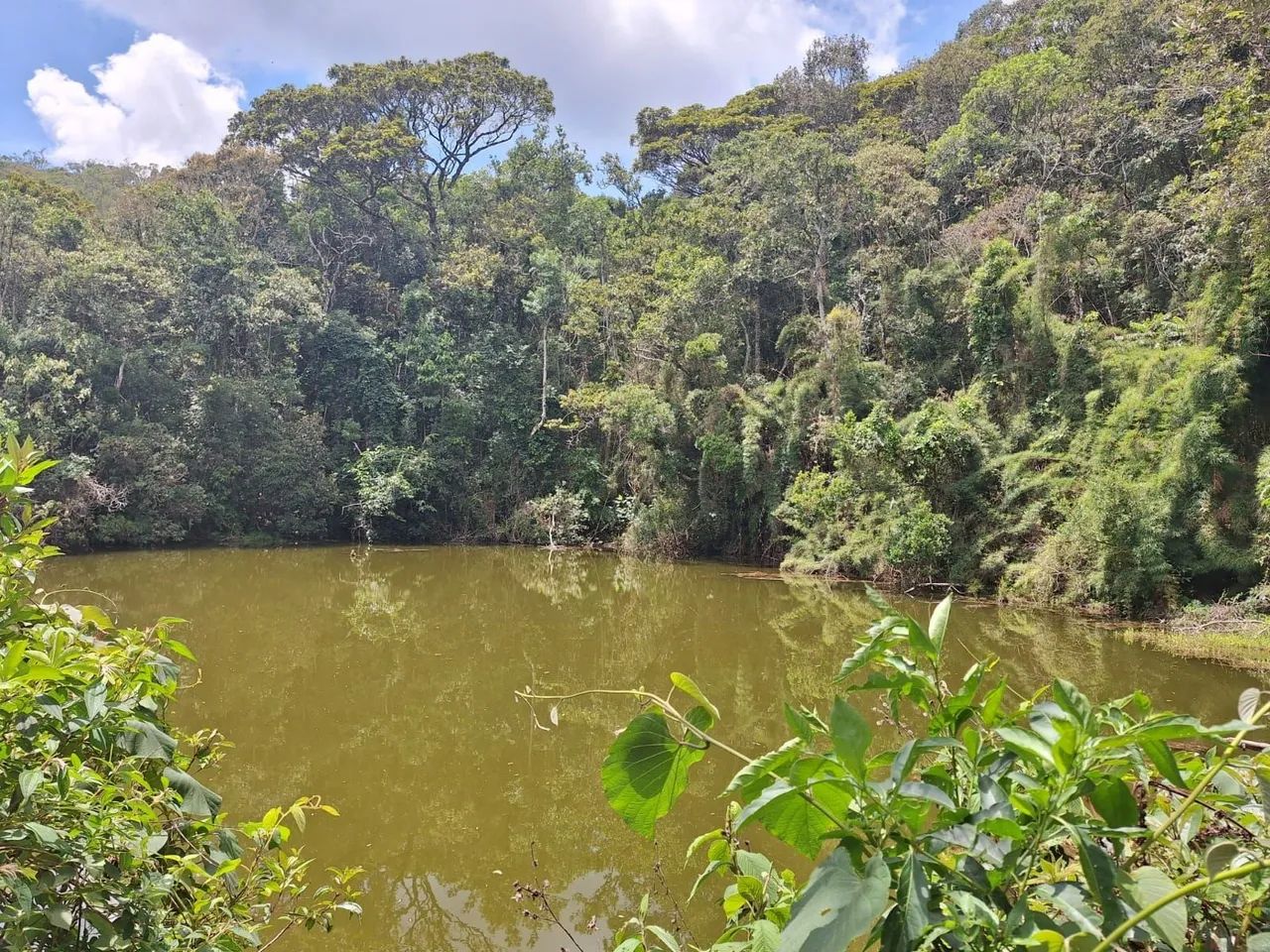 Terreno 40.000m², Delfim Moreira /MG - Foto 2