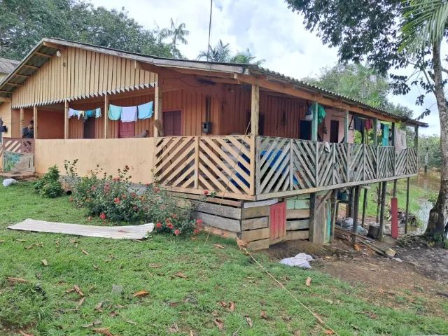 Sitio com Crianção de tambaqui e hortaliças  - Foto 4